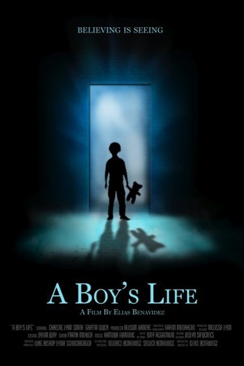 Постер A Boy's Life